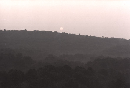scan0005.tif